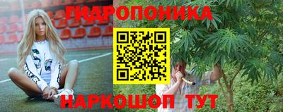 PSILOCYBIN Гусев