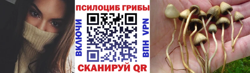 Галлюциногенные грибы мухоморы  дарнет шоп  omg ссылки  Мытищи 