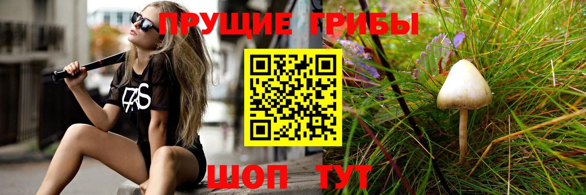 Мытищи  Псилоцибиновые грибы мухоморы  где продают   Вход с VPN 