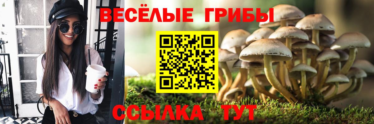 Каннабис  МАРИХУАНА  COCAIN  Вход с VPN  Мефедрон  Мытищи  Хэш  APVP  Наркошоп  ГАШИШ 
